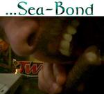 seabond