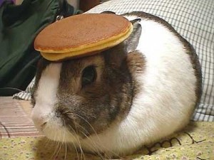 bunny_pancake